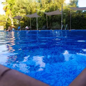 Nissi Elena -sunshine Apartament